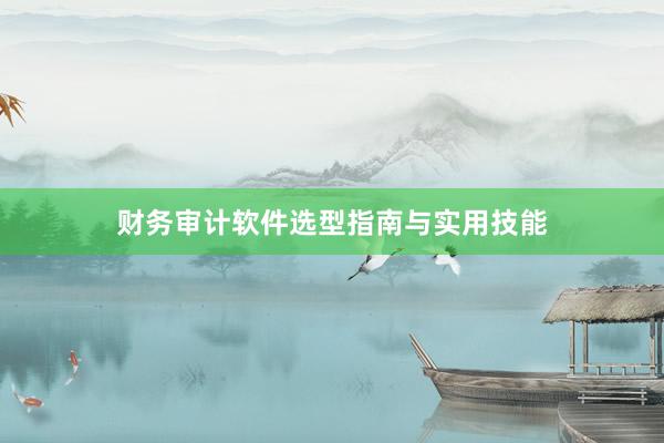 财务审计软件选型指南与实用技能