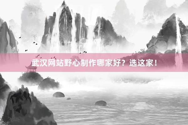 武汉网站野心制作哪家好？选这家！