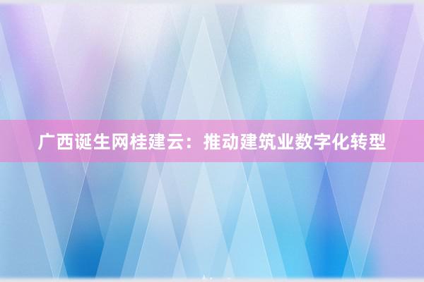 广西诞生网桂建云：推动建筑业数字化转型