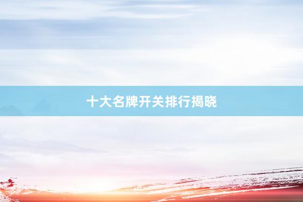 十大名牌开关排行揭晓