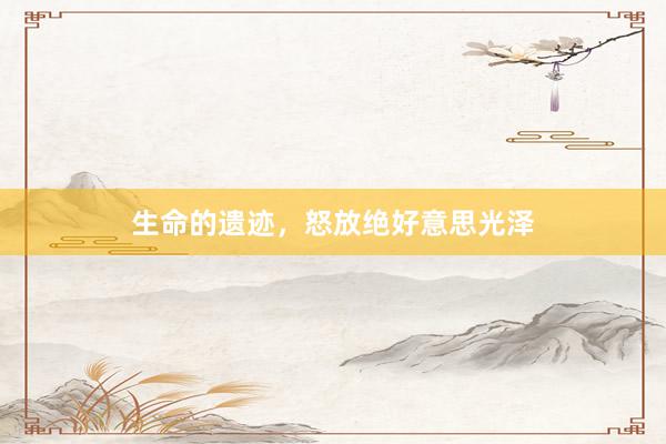 生命的遗迹，怒放绝好意思光泽