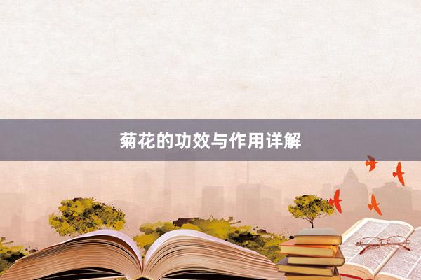 菊花的功效与作用详解