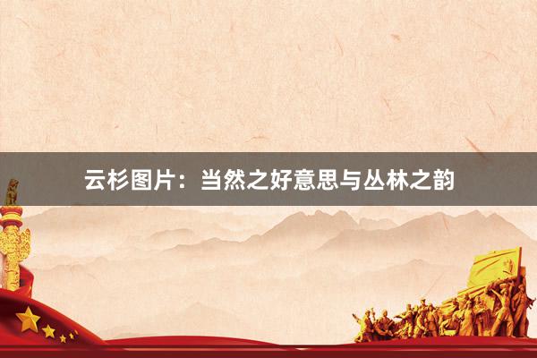 云杉图片：当然之好意思与丛林之韵